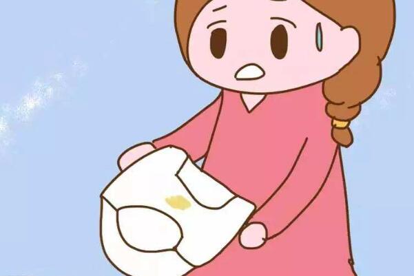 排卵期女性的分泌物会增多