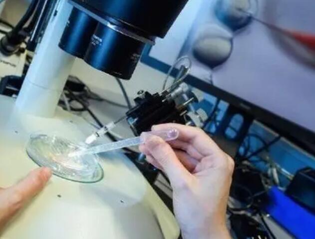 试管养囊成功与否主要看什么答案在这，精子质量是其一