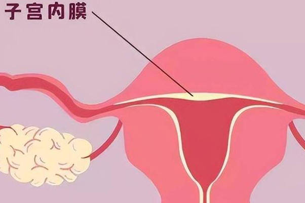 内膜3.3mm单层真不可以正常怀孕，吃什么药好看医生怎么说