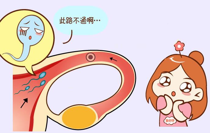 输卵管造影对身体伤害有多大，做造影后多久可以怀孕？