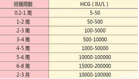 怀孕初期可查hcg确认怀孕