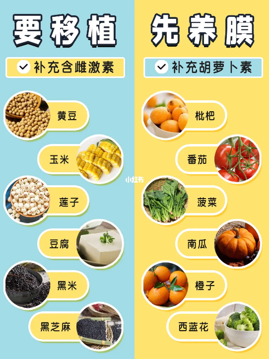 试管移植前7天最佳食谱，七大类要记牢