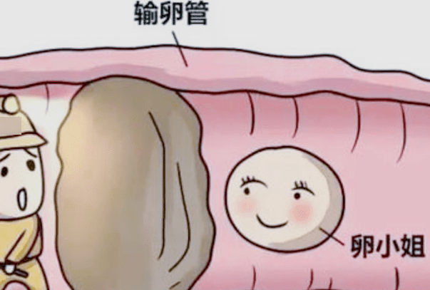 只有一侧不通是可以怀孕的