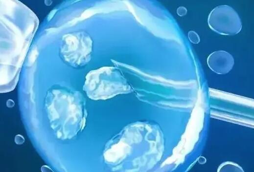 武汉中南医院三代试管婴儿花费分享，PGD/PGS筛选2-4w不等