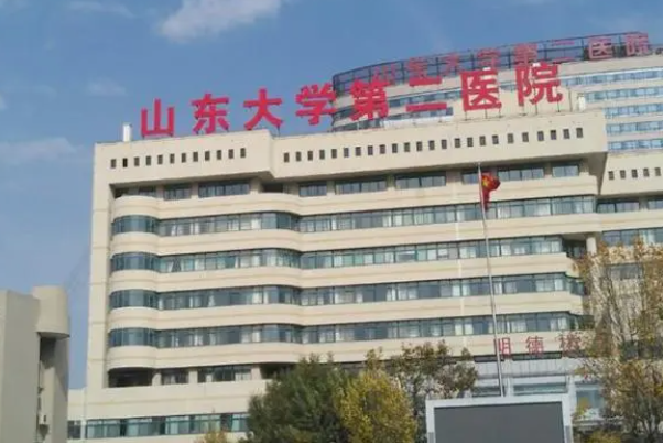 山东大学第二医院可做人工授精