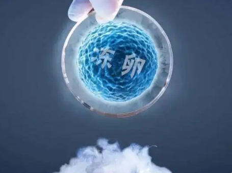 冷冻卵子需要多少钱？适合人群有哪些？