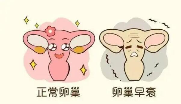 多次促排有什么风险？导致卵巢早衰吗