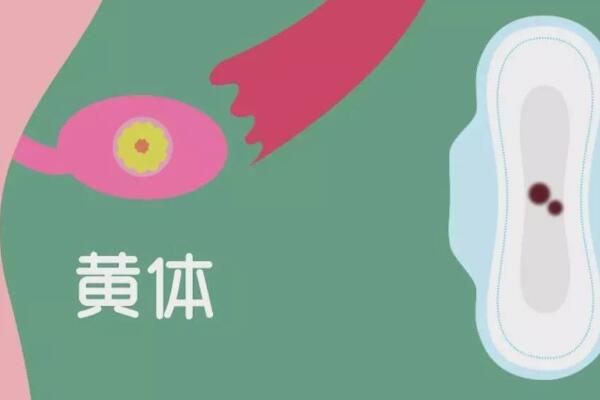 内膜薄会导致生化妊娠