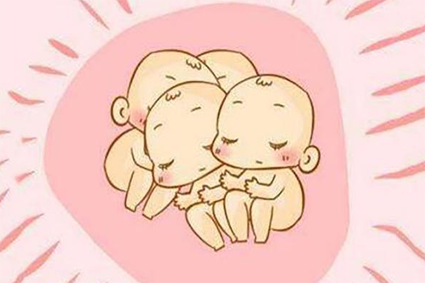 多个受精卵会形成多胎
