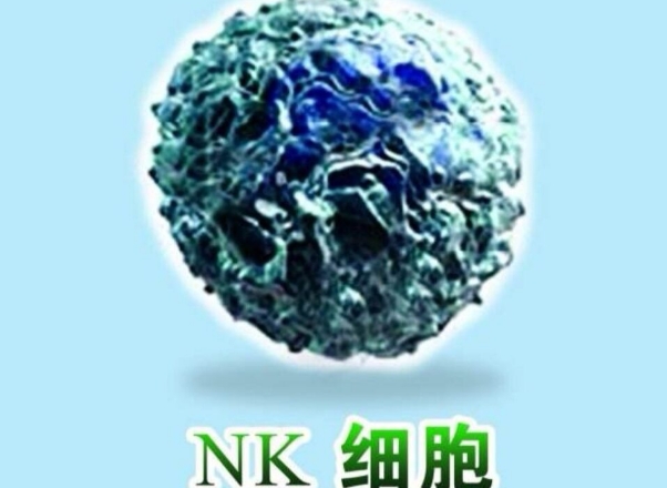 试管移植囊胚前nk比例23.3可以直接安排手术吗？