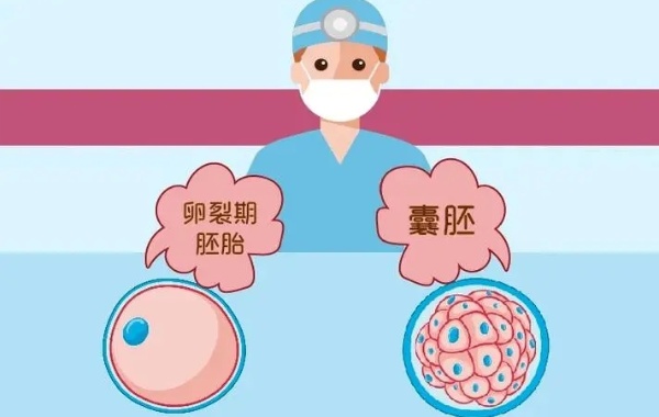 3级胚胎试管移植成功率大概在50%左右