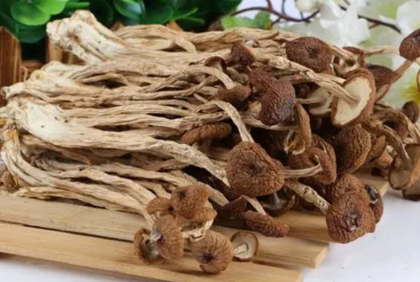 茶树菇可以提高免疫力