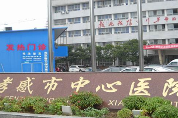 孝感市中心医院可做试管