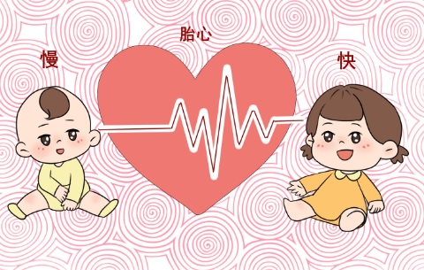 胎心率的正常值是120-160次/分之间
