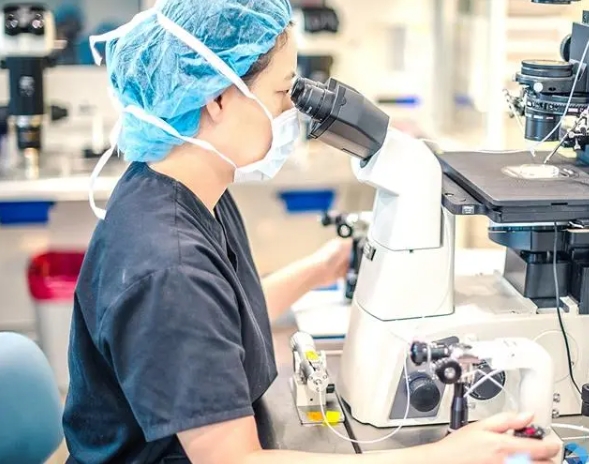 在泰国寻找一家试管婴儿医院，比起国内哪些技术因素最重要？