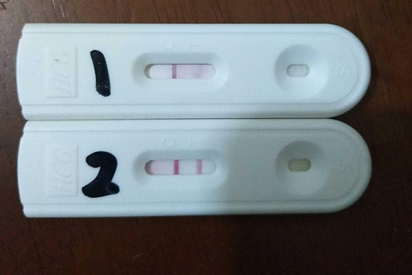 2个验孕棒一个显示怀孕一个显示没怀孕
