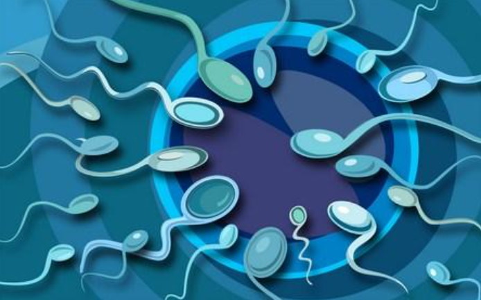男人检查出来患有精子弱的时候备孕是不是怀女孩多？