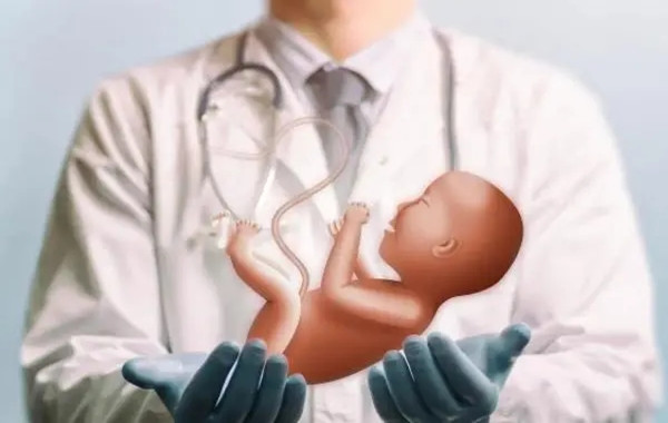 试管婴儿容易得先天性心脏病
