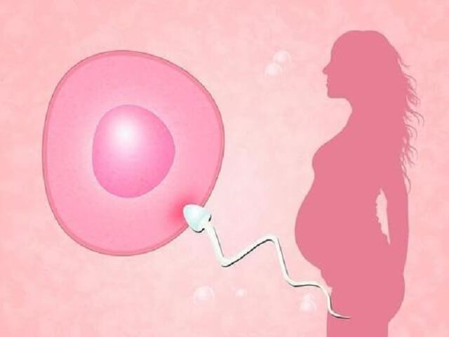 多囊卵巢吃优思明还是达英35？选择时需多方面综合考量