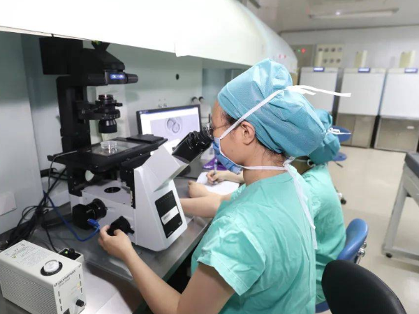 石家庄人工授精医院导航可前往