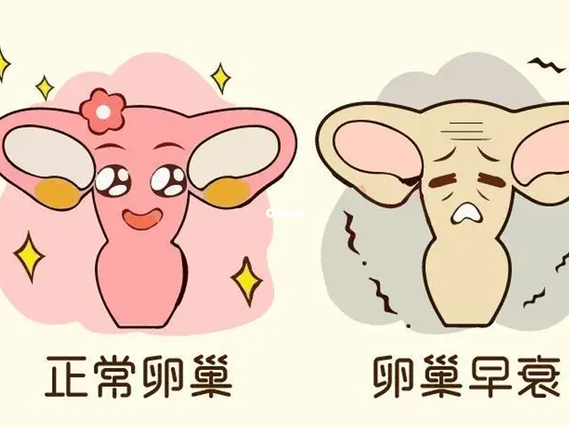 补佳乐和黄体酮同服能治疗卵巢功能失常