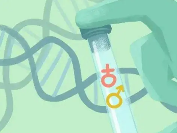 私人医院三代试管婴儿包生男孩系违法，性别选择行不通