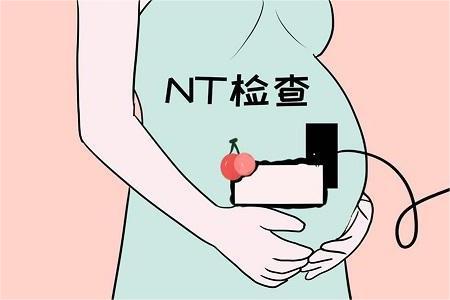 nt检查的准确率约85%