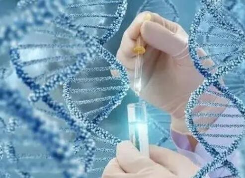 广东省二院试管几代成功率高？影响试管婴儿成功率因素分析