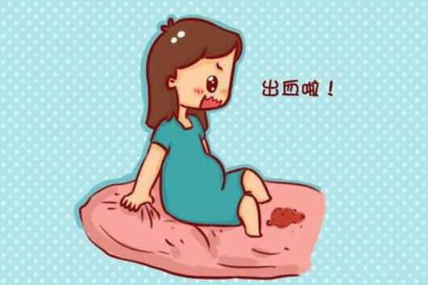试管移植第三天出血，别懵圈！揭秘出血与着床的纠葛！