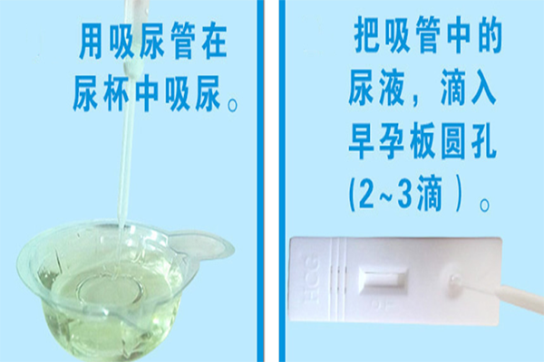 条形验孕棒需要维持1至2秒的接尿时间