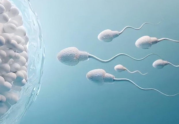 张婷婷医生技术娴熟