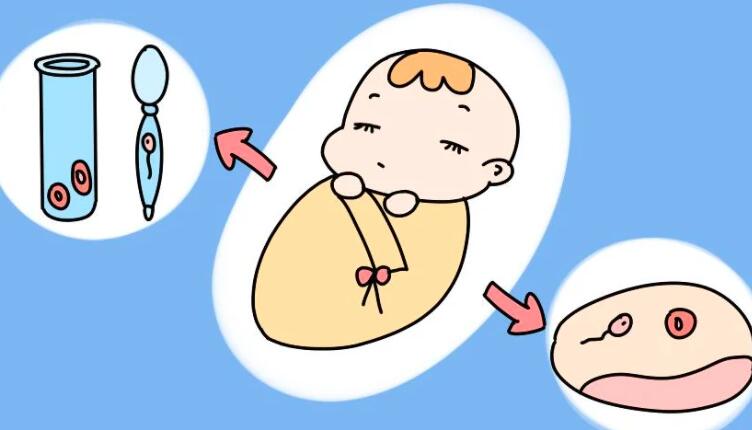 取卵后多久可以运动，如何更好的恢复卵巢？
