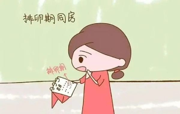备孕期医师不建议排卵后同房是因为卵子已经排出了吗？
