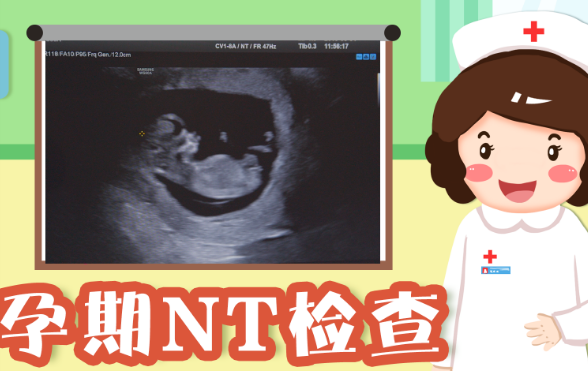 孕12周去医院做nt检查结果值为1.3mm是男孩还是女孩的可能性大？