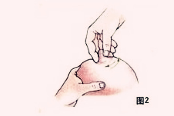 乳房按摩可以起到催奶的效果