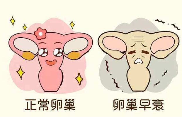 为什么很多女人都说卵巢早衰根本不可治愈？