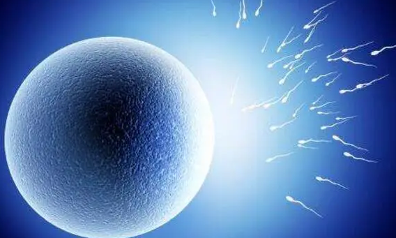 女性封闭抗体阴性胚胎很难着床成功
