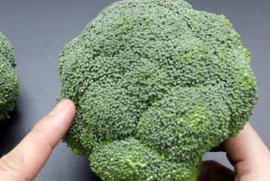西蓝花含碱量比较高