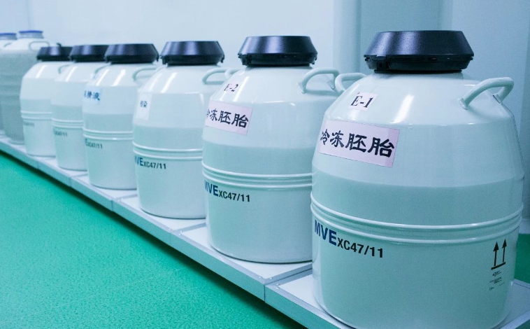 做试管一般在月经第几天移植冻囊胚最好？