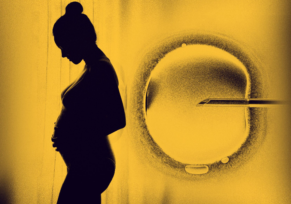 听说试管婴儿出生的孩子要比正常孩子智商低？是真的吗？