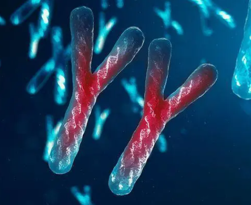 医院检查出y精子缺失就说明生不了男孩吗？