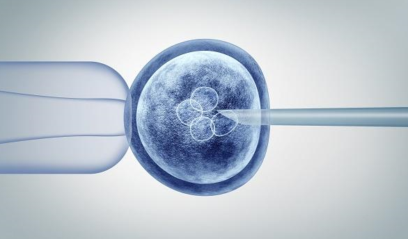 女人满50岁还能通过移植赠卵生孩子吗？