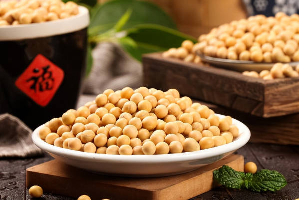 大豆的卵磷脂含量高
