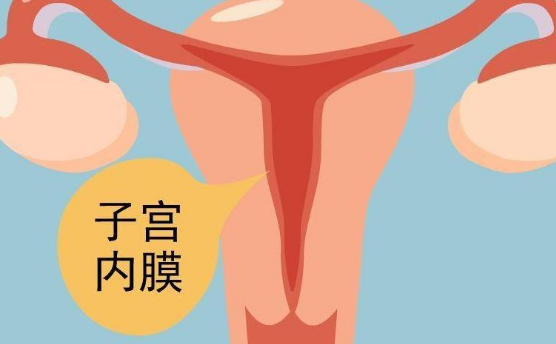 子宫内模太厚对试管移植的影响