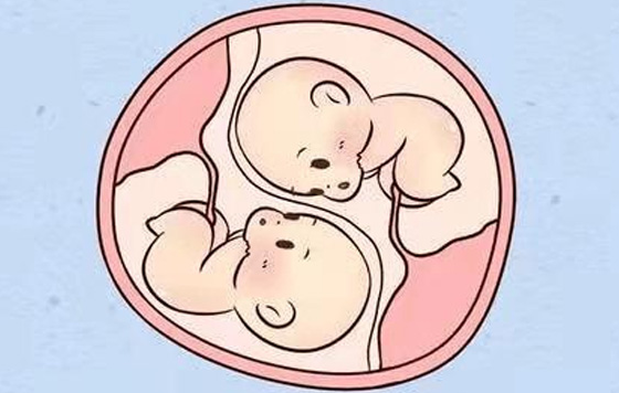 女性体重110斤偏胖能做三代试管移植双胞胎吗？