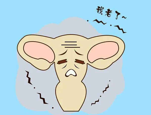 卵巢早衰做试管成功率高吗？周期会不会很长