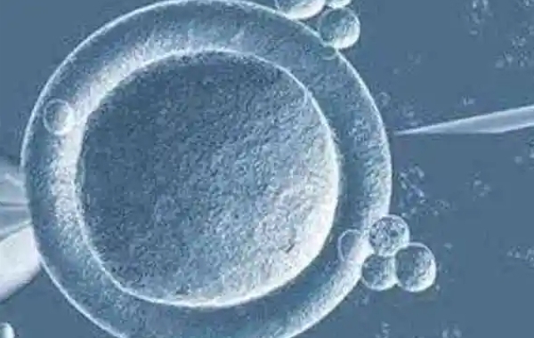 子宫内膜薄只有6mm移植冻胚一次成功着床的案例多吗？