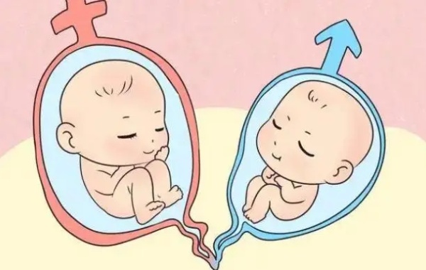 做二代试管龙凤胎需要母体满足什么条件呢？