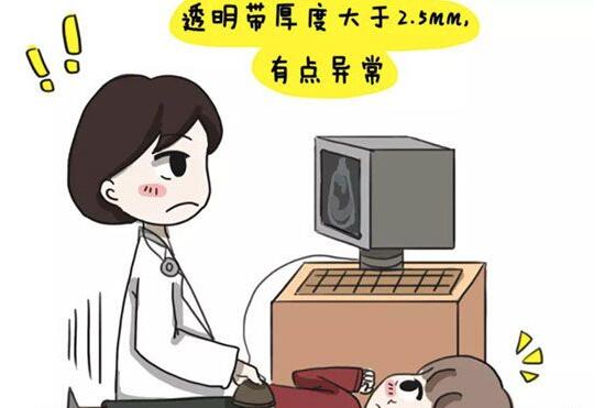 nt检查3.7mm孩子也有正常机会，风险高不代表有问题