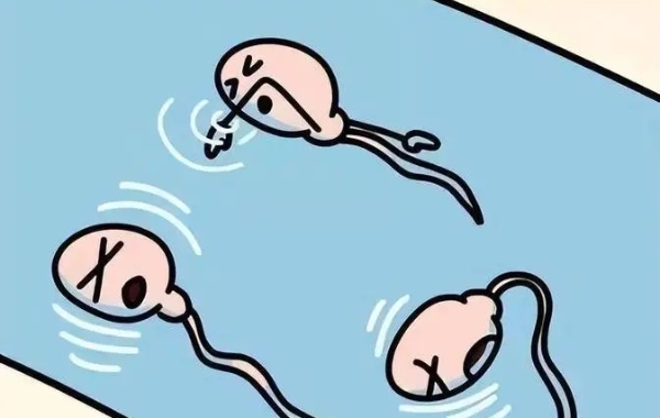 男性精子成活率只有百分之六能成功做二代试管婴儿吗？